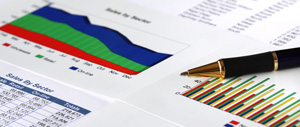 Statistiche, Analisi, Ricerche e Banche Dati